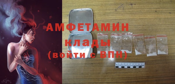 гидра Абаза