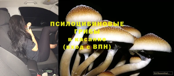 мяу мяу мука Абинск