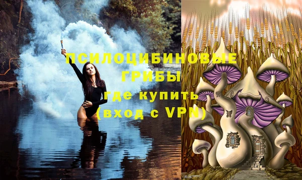 гидра Абаза