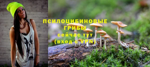 мяу мяу мука Абинск