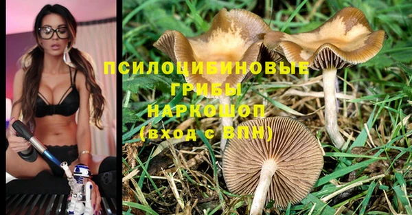 эйфоретик Михайлов