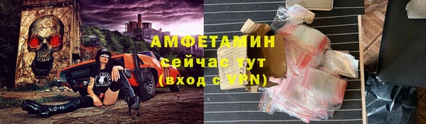 гидра Абаза